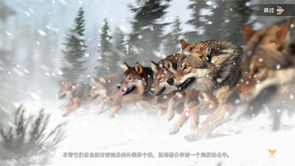 游戏玩法