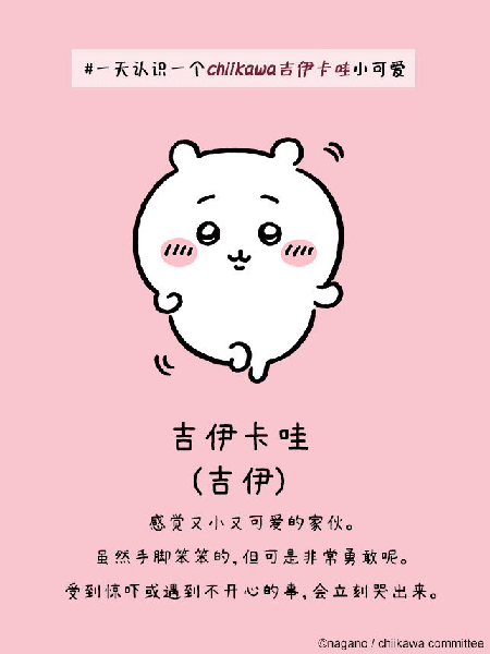 口袋吉伊卡哇游戏综合评价截图