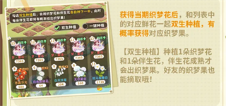 织梦森林双生种植织梦果