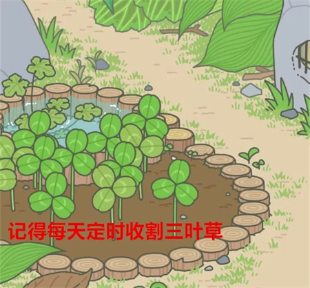 庭院三叶草与邮箱界面截图