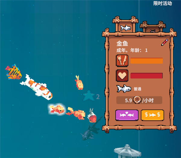 鱼缸清洁与日常投喂2