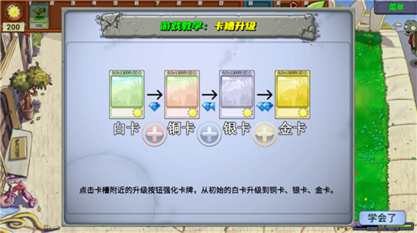 新指导版花园防线与牛头指引截图
