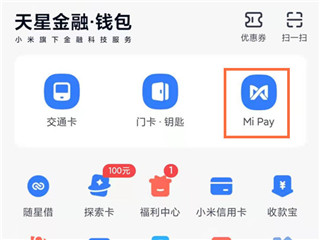 Mi Pay入口页面截图