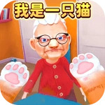 奶奶的贴心小猫