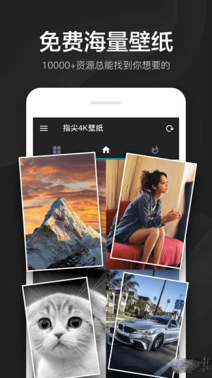 第3张截图