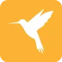 小黄鸟App(Reqable)中文版下载 v3.2.16 安卓版
