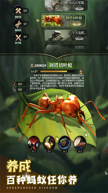 第5张截图