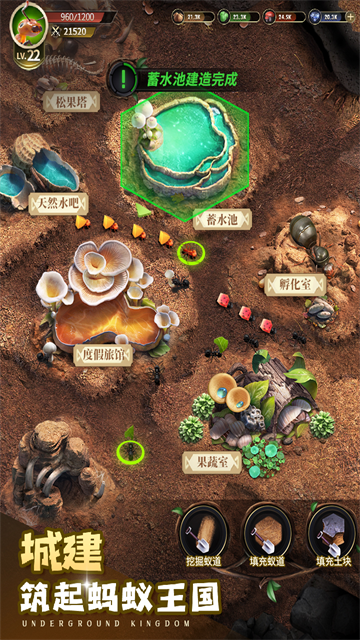 第3张截图