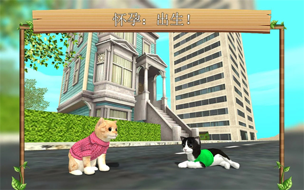 第3张截图
