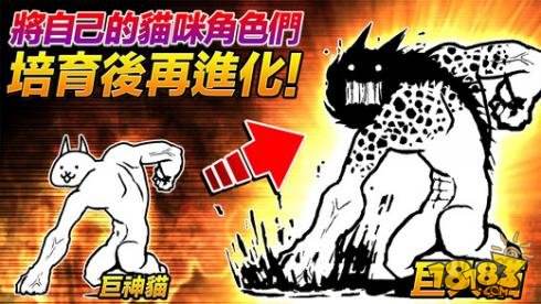 第3张截图