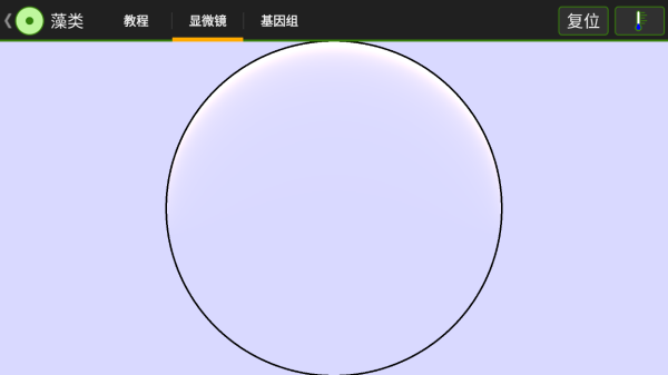 重置后重新开始界面截图