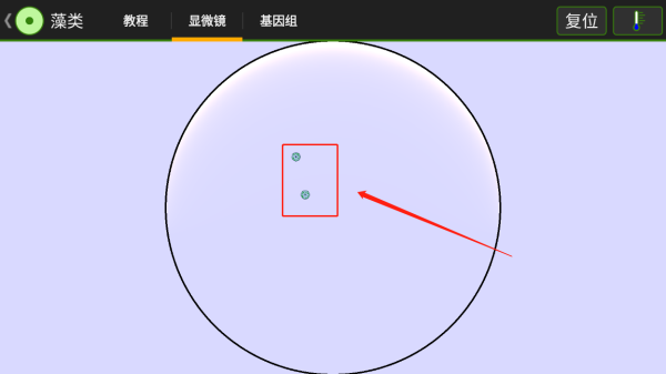 显微镜放置细胞界面截图