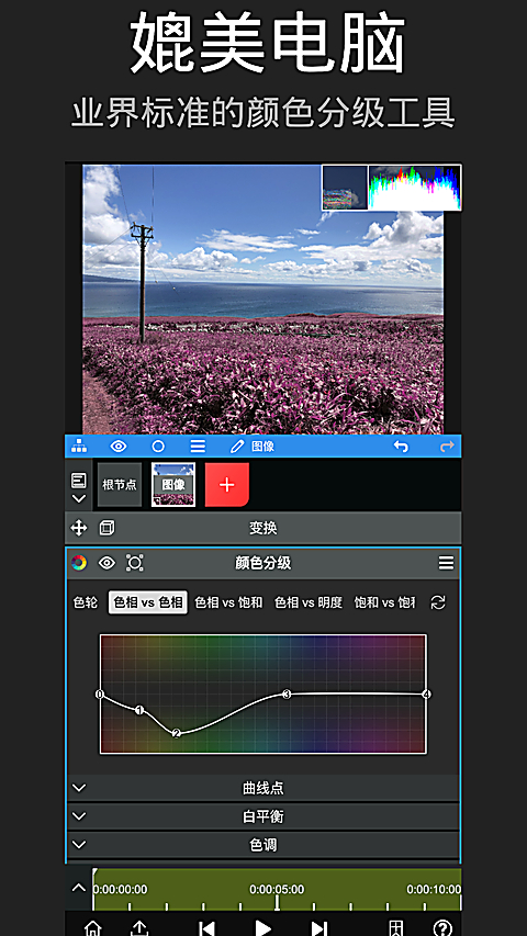 第5张截图