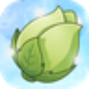 植物大战僵尸远征版
